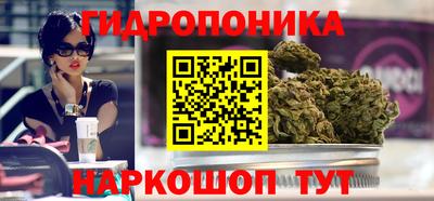 гидра Старая Купавна