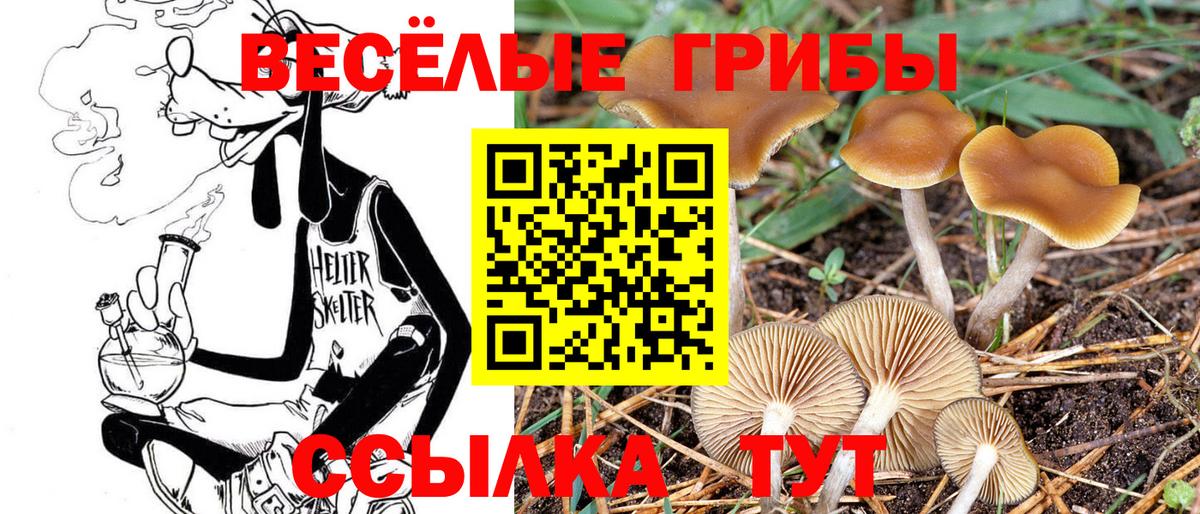 ГАШ  ГАШ  Меф   Юрга  Вход с VPN  Бошки Шишки  МАРИХУАНА 