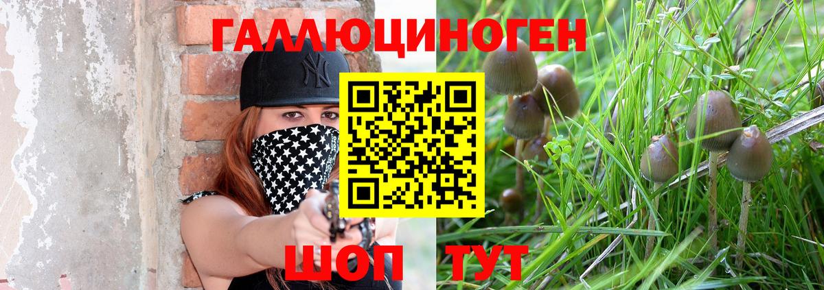 Псилоцибиновые грибы мухоморы Юрга